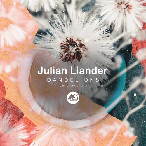 Julian Liander - Dandelions